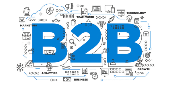 B2B (Bayi) Modülü (YILLIK)