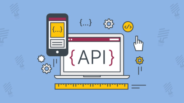 Web Servis (API) (YILLIK)